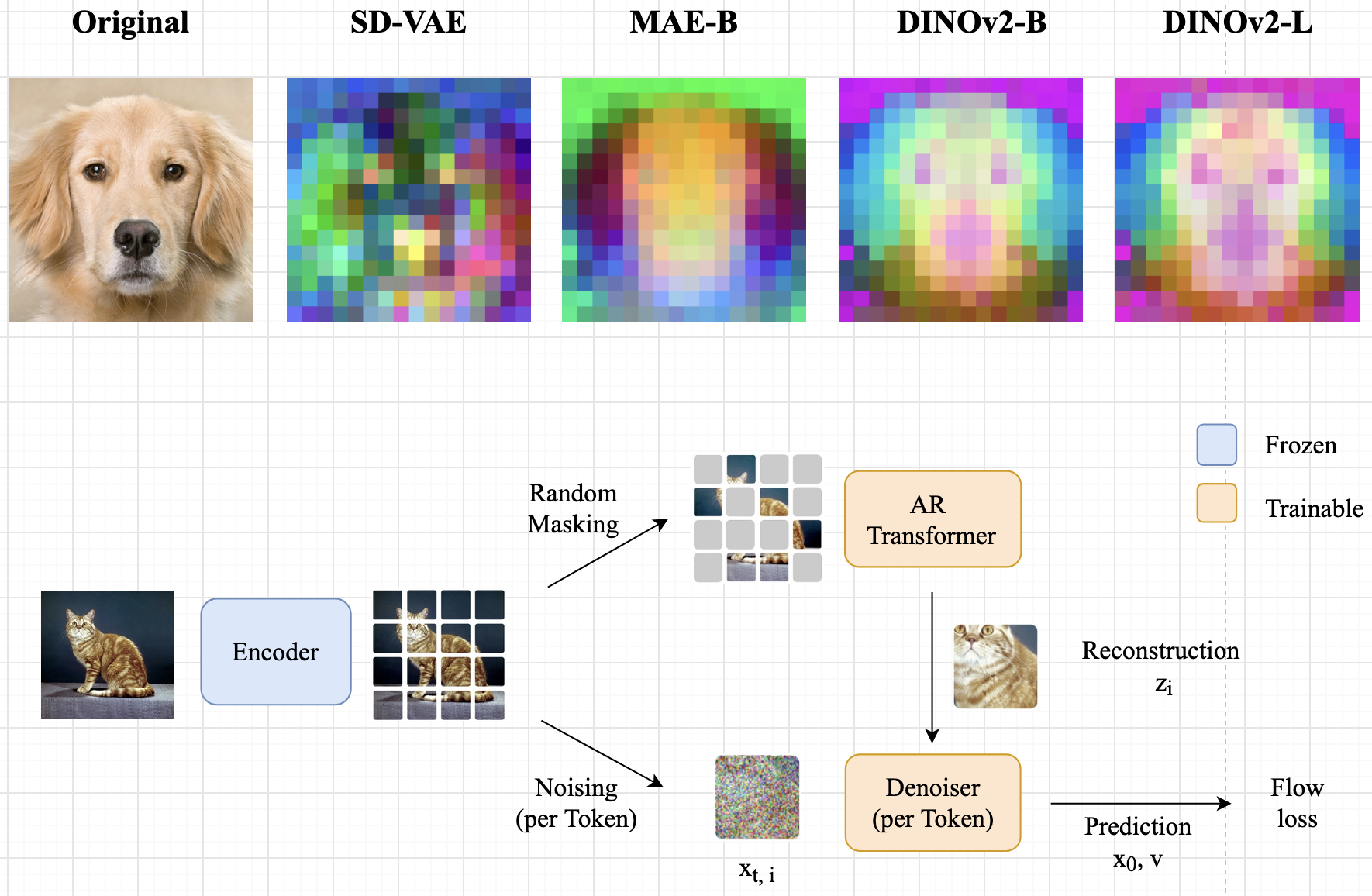 Project image